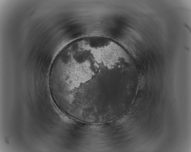 X0000091331086200708241155