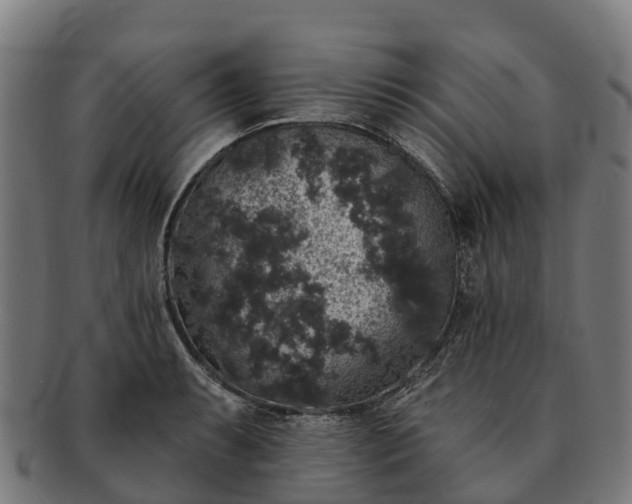 X0000091331087200708241155