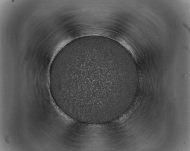 X0000091331088200708241155