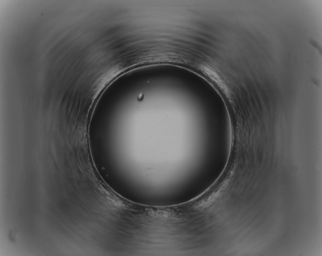 X0000091331089200708241155