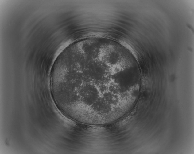 X0000091331090200708241155