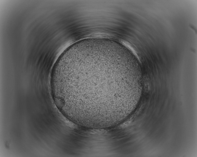 X0000091331091200708241155