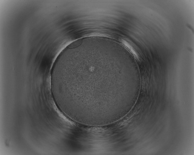 X0000091331092200708241155