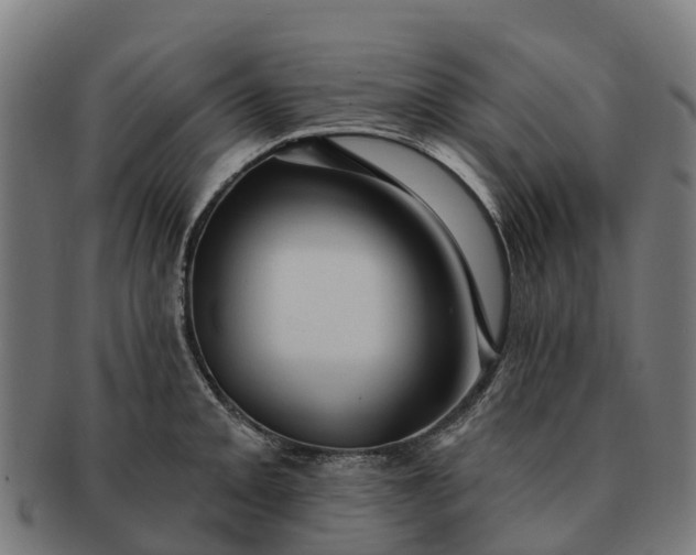 X0000091331093200708241155