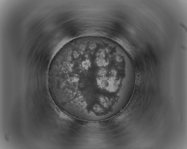 X0000091331094200708241155