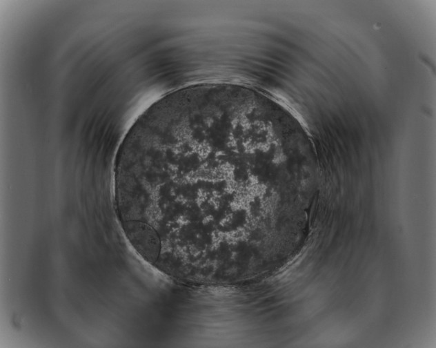 X0000091331095200708241155