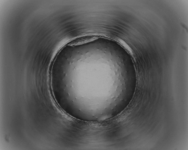 X0000091331096200708241155