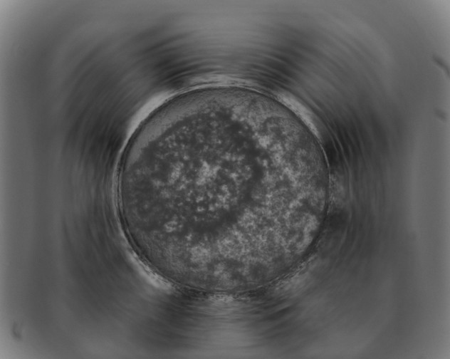 X0000091331098200708241154