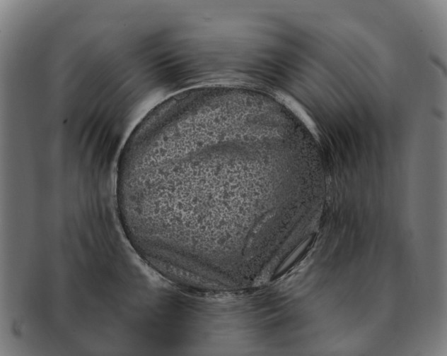 X0000091331099200708241154