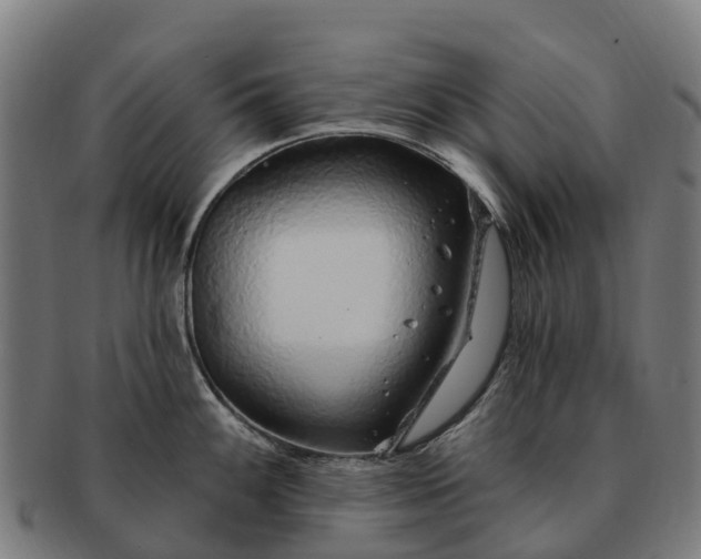 X0000091331100200708241154