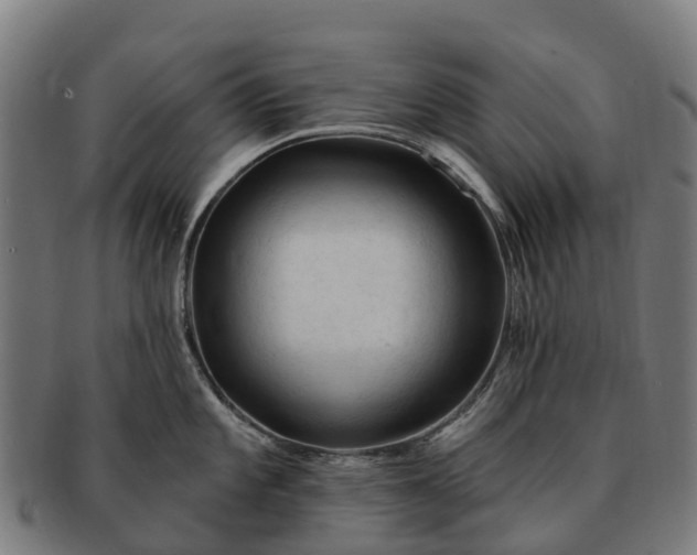 X0000091331101200708241154