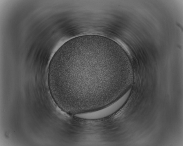 X0000091331102200708241154