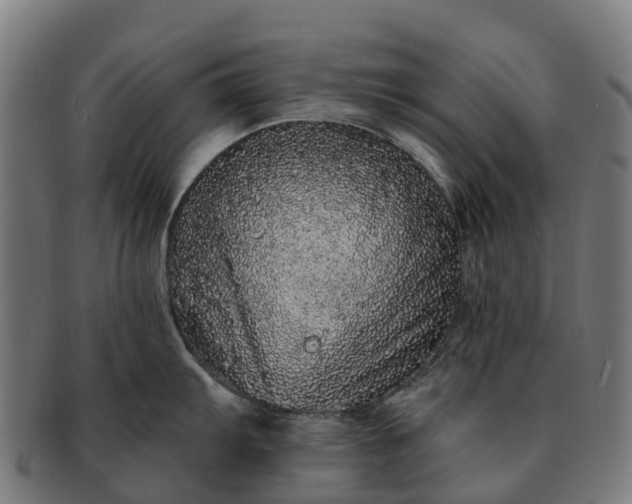 X0000091331103200708241154