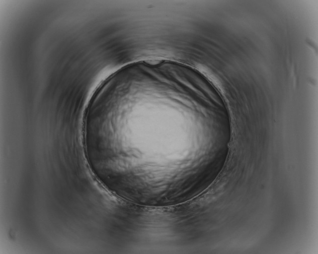 X0000091331104200708241154