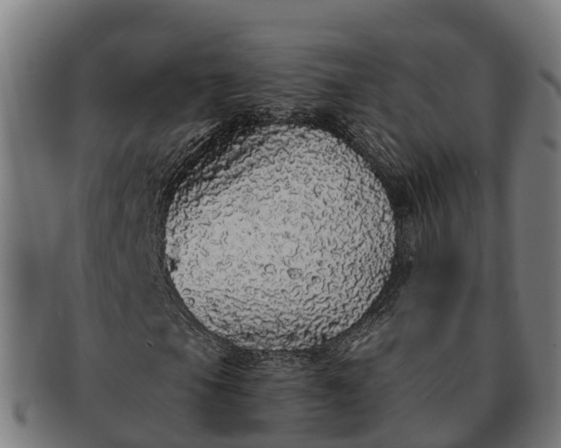 X0000091331105200708241154