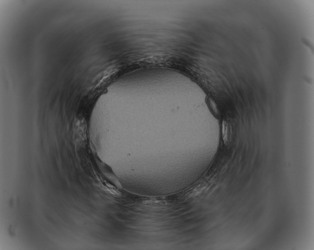 X0000091331107200708241154