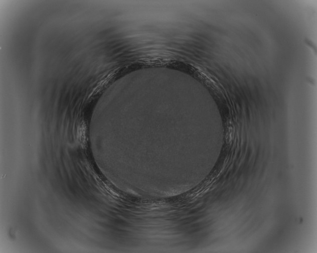 X0000091331108200708241154