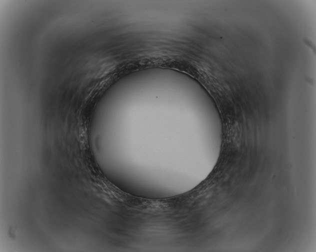 X0000091331109200708241154