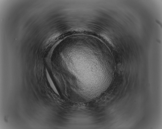 X0000091331111200708241154