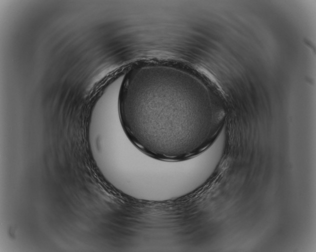 X0000091331112200708241154