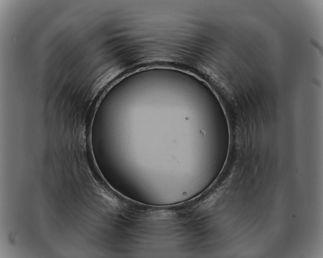 X0000091331113200708241154