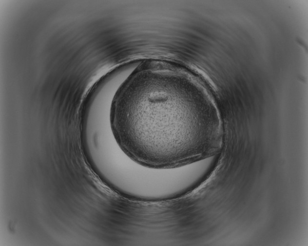 X0000091331114200708241154