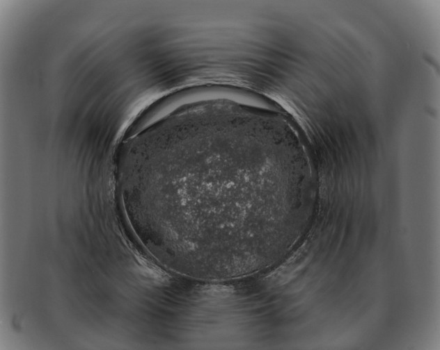 X0000091331115200708241154