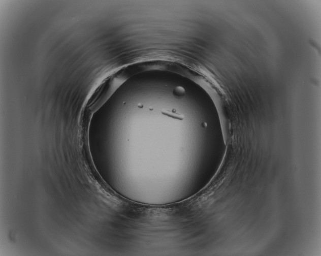 X0000091331116200708241154