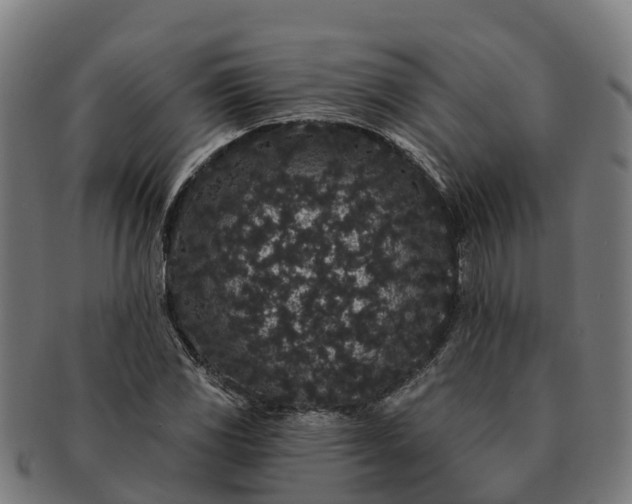 X0000091331117200708241154