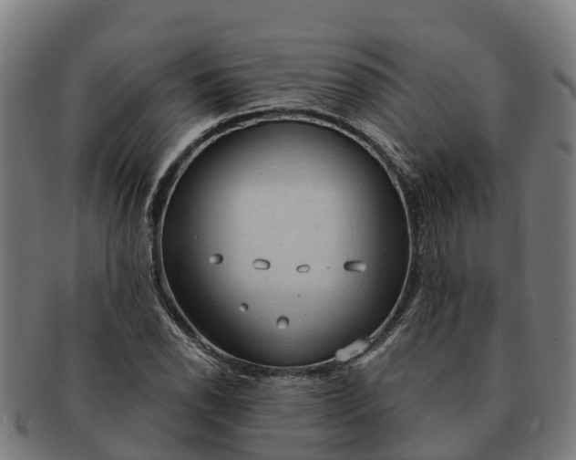 X0000091331118200708241154