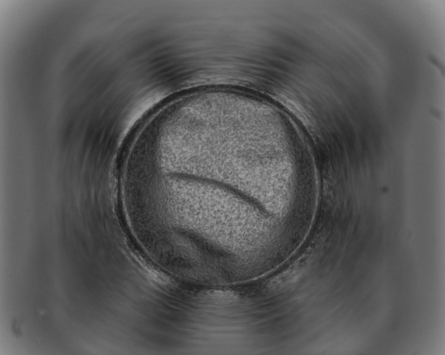 X0000091331119200708241154