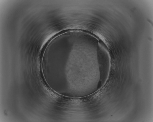 X0000091331120200708241154