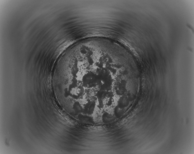 X0000091331121200708241154