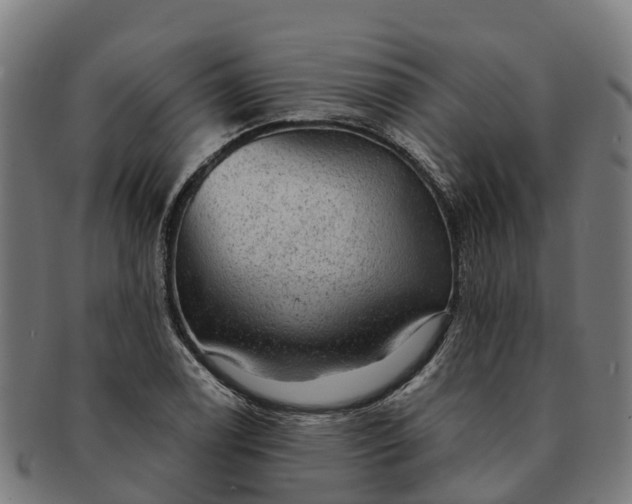 X0000091331122200708241154