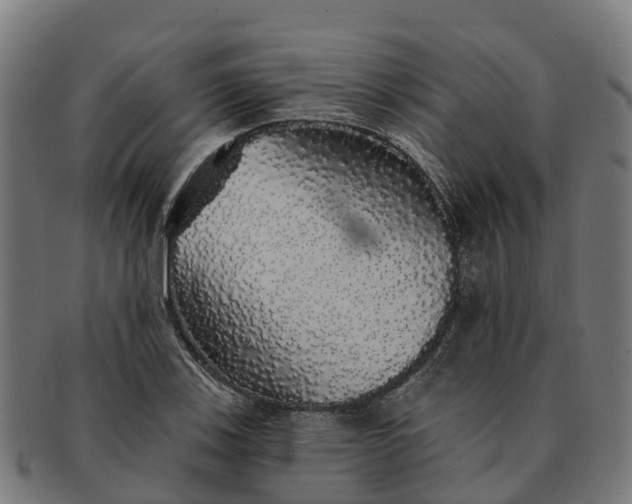 X0000091331123200708241154