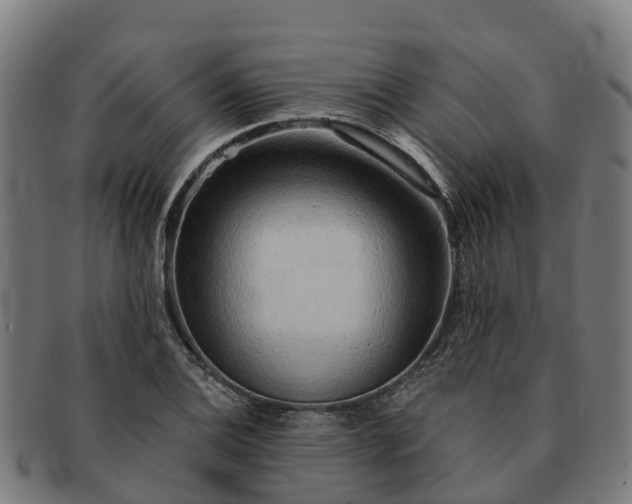 X0000091331124200708241154