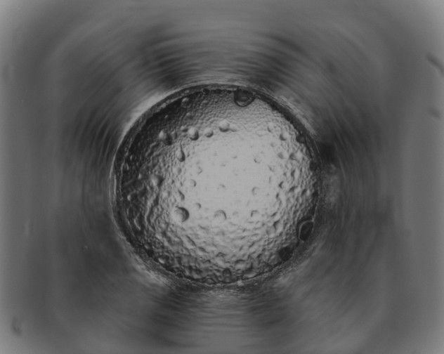 X0000091331125200708241154