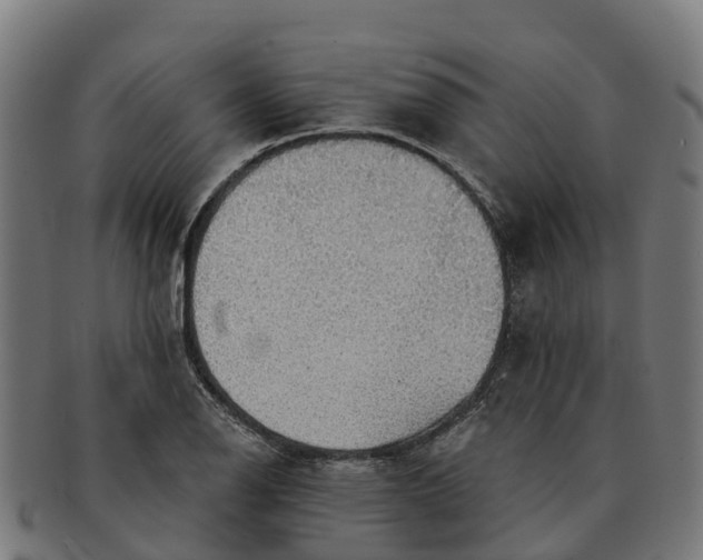 X0000091331126200708241154