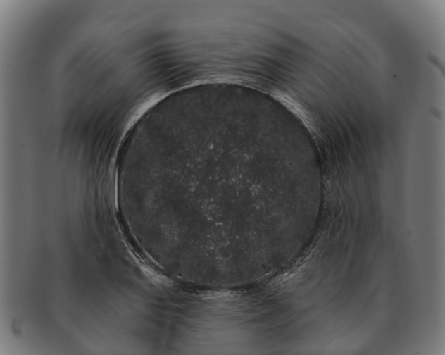 X0000091331127200708241154