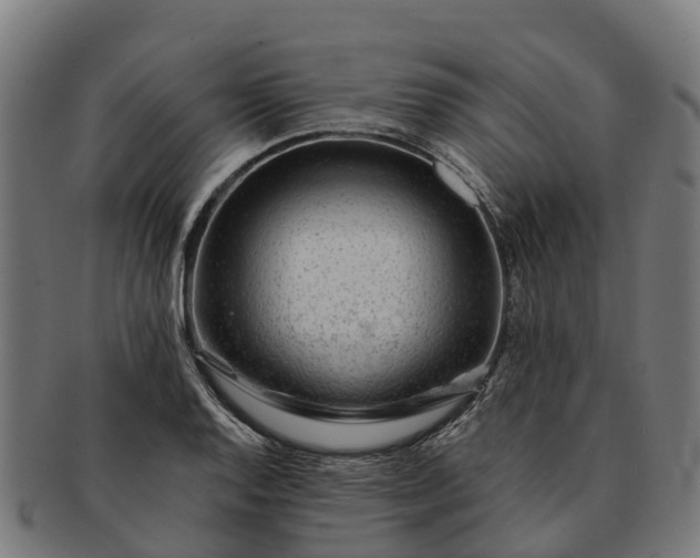 X0000091331128200708241154