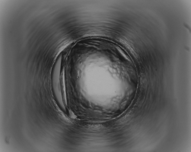 X0000091331129200708241154