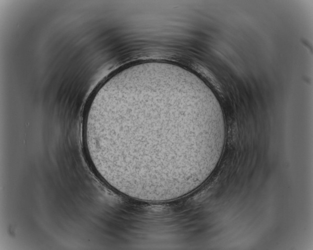 X0000091331130200708241154