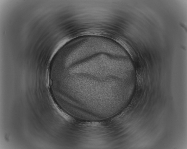 X0000091331131200708241154