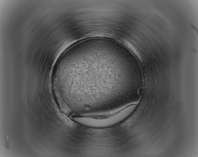 X0000091331132200708241154