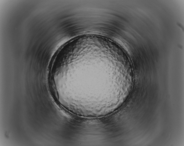 X0000091331133200708241154