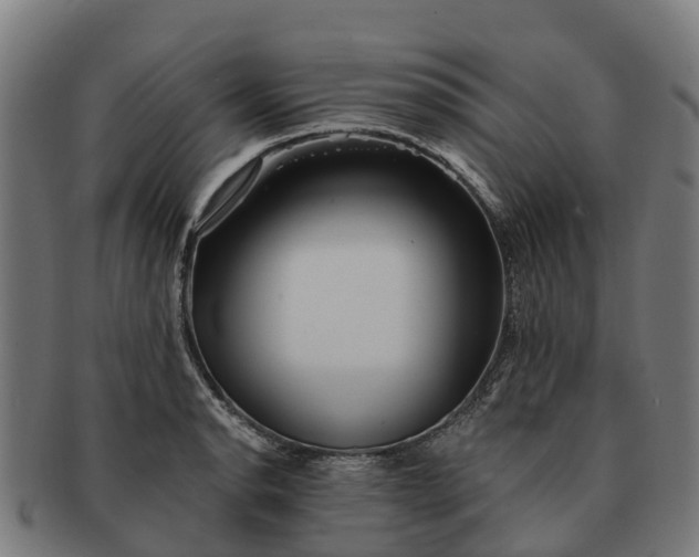 X0000091331134200708241154