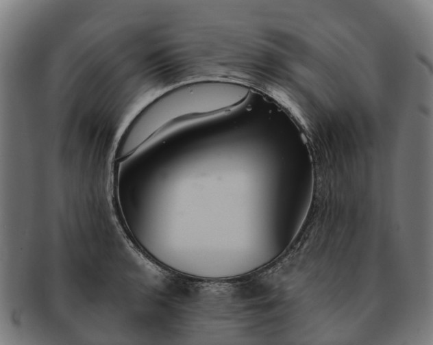 X0000091331136200708241154