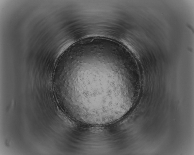 X0000091331137200708241154