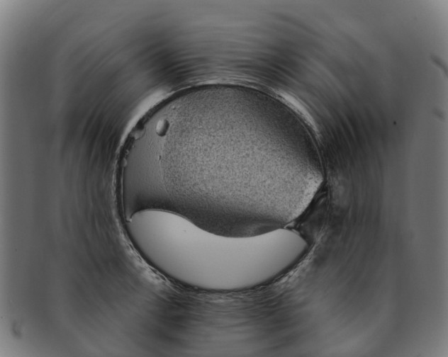 X0000091331138200708241154