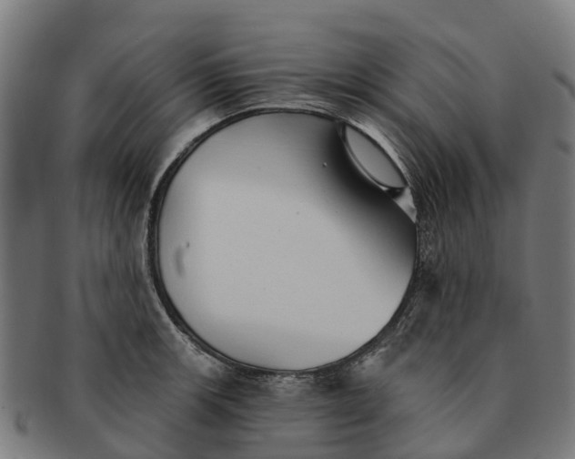 X0000091331139200708241154